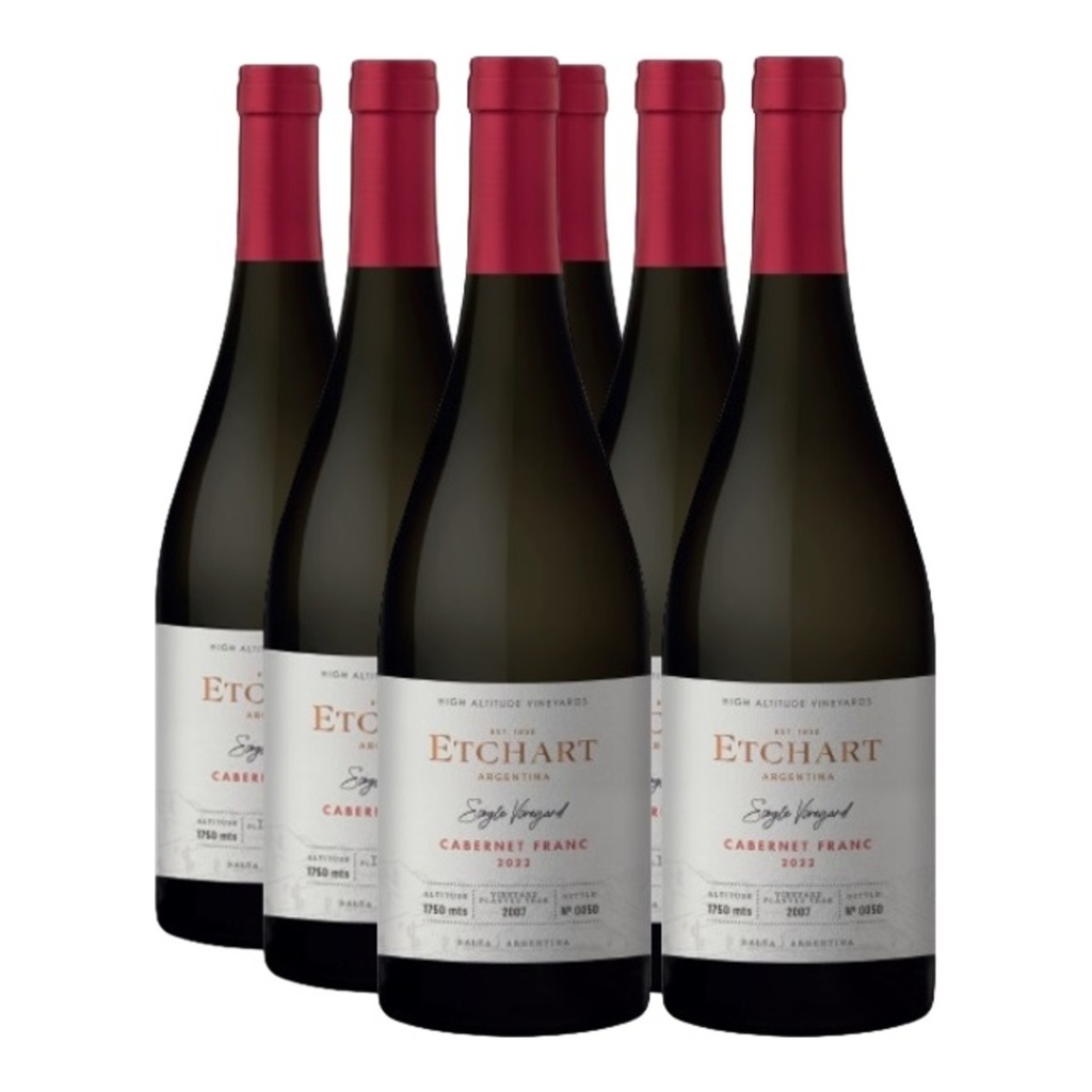 Promo 5+1 Etchart Single Vineyard Cab Franc 750cc