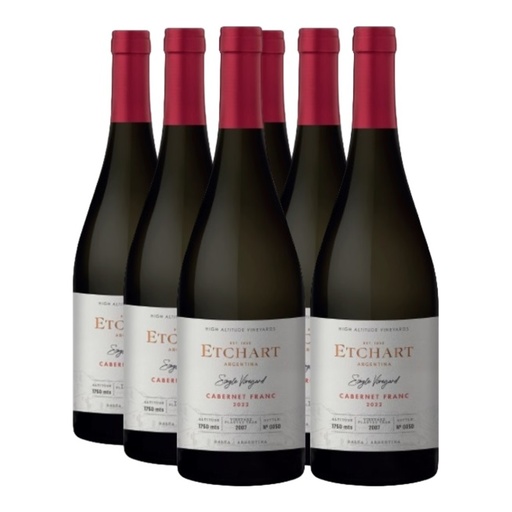 [SO4161] Promo 5+1 Etchart Single Vineyard Cab Franc 750cc