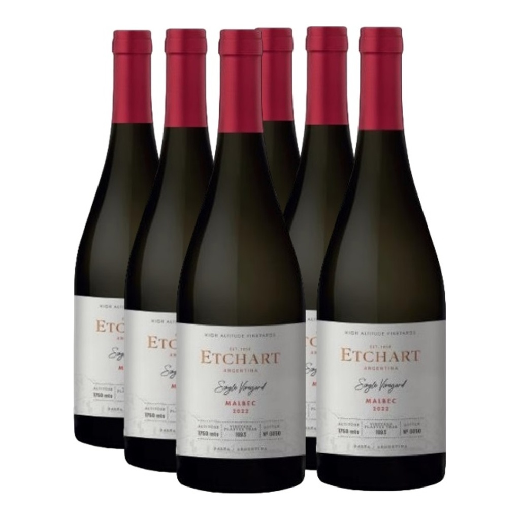 Promo 5+1 Etchart Single Vineyard Malbec 750cc