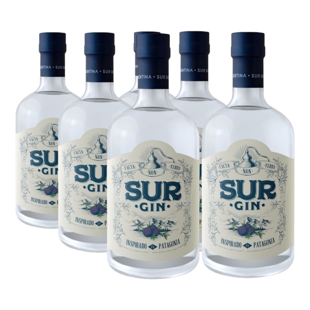 [4194] Promo 5+1 Gin Sur 43º 750cc