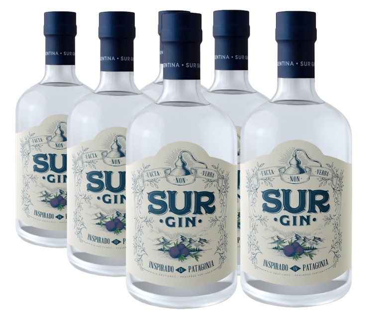 [4194] Promo 5+1 Gin Sur 43º 750cc