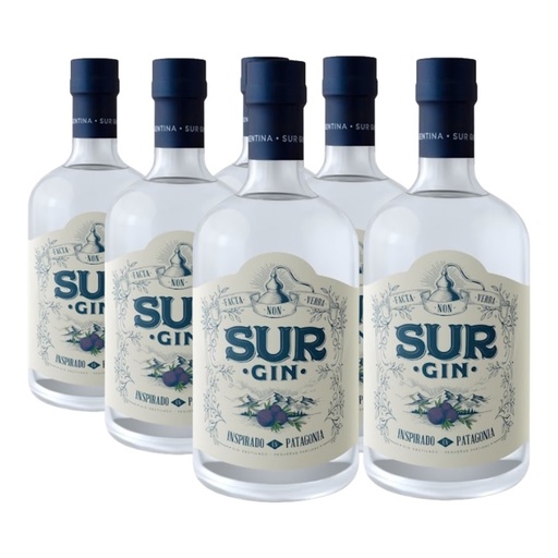 [4194] Promo 5+1 Gin Sur 43º 750cc
