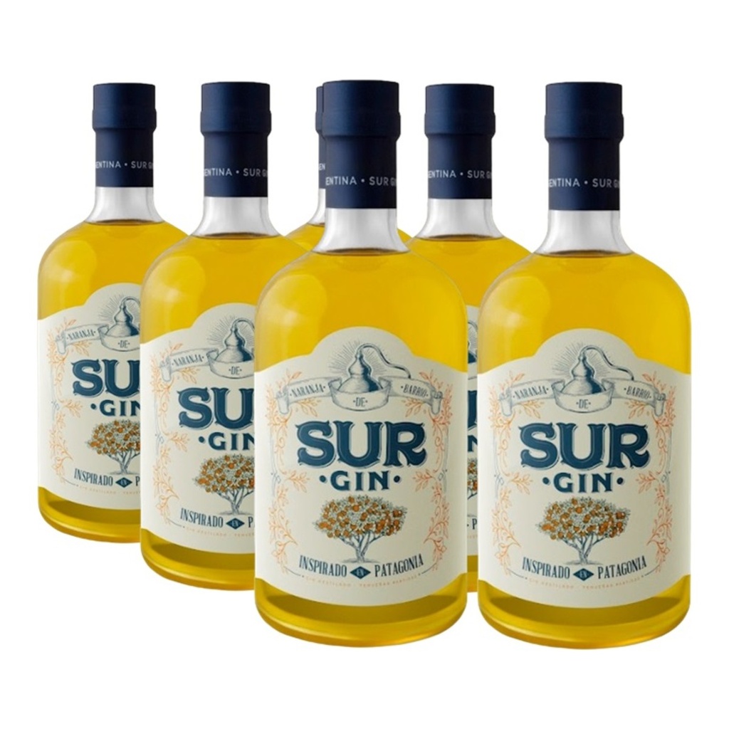 Promo 5+1 Gin Sur Naranja de Barrio 43º 700cc