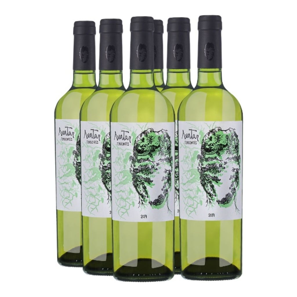 [4556] Promo 5+1 Avatar Torrontes 750cc