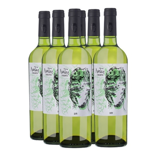 [4556] Promo 5+1 Avatar Torrontes 750cc