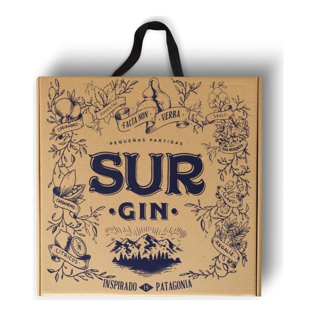 Gin Sur Mix Estuche 1x3x750cc