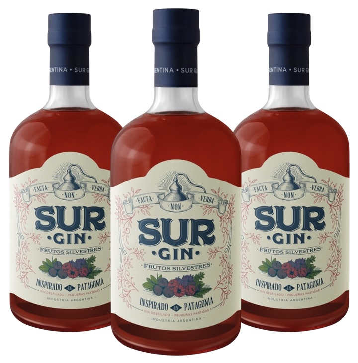 [4992] Promo x3 Gin Sur Frutos Silvestres 43° 750cc 10% Off