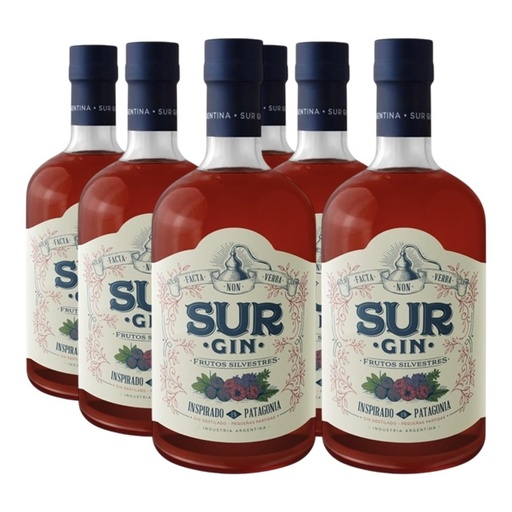[5562] Promo 5+1 Gin Sur Frutos Silvestres 750cc